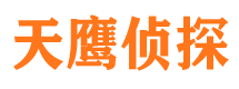 榆树侦探公司